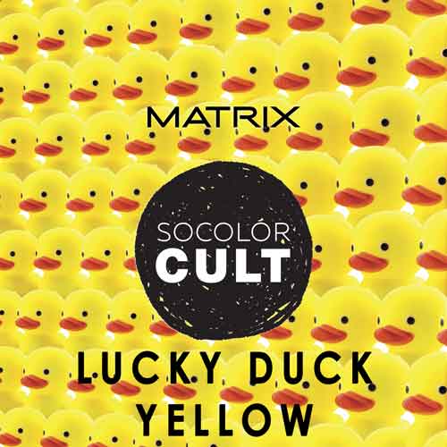 lucky-duck-yellow.jpg